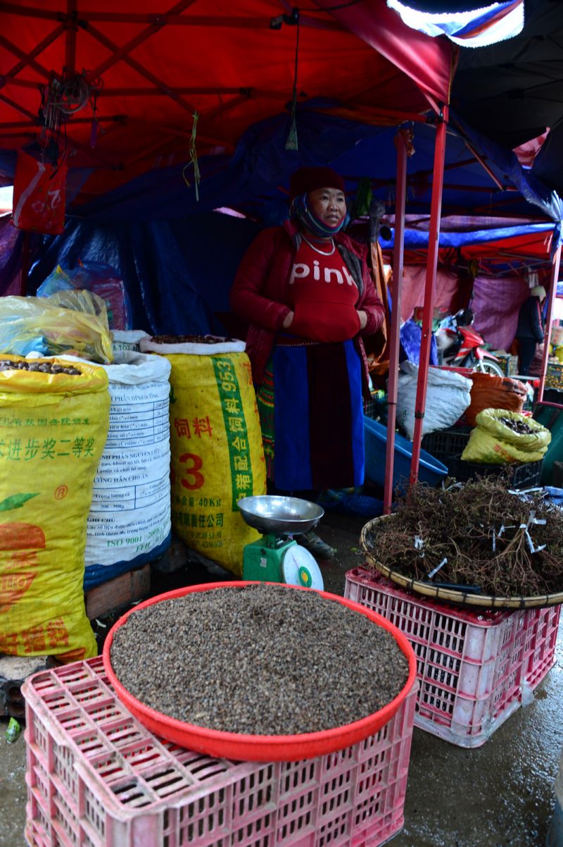 Hạt Tam Giác Mạch 